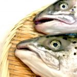 タイセイヨウサケ