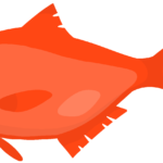 ナンヨウキンメ