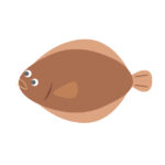 ガンゾウヒラメ