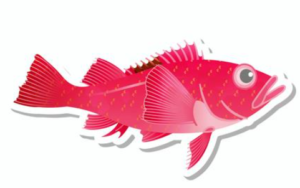 アラスカキチジ