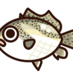 オシャレコショウダイ