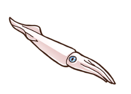 トビイカ