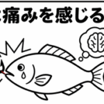 魚は痛みを感じるの？