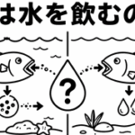 魚は水を飲むの？