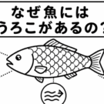 なぜ魚にはうろこがあるの？