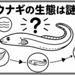 なぜウナギの生態は謎なの