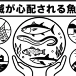 絶滅が心配される魚は？