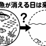 海から魚が消える日は来るの？