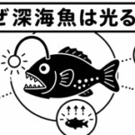 なぜ深海魚は光るの？
