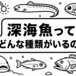 なぜ深海魚って浮きも沈みもしないの？