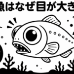 深海魚はなぜ目が大きいの？