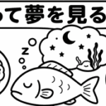 魚って夢を見るの？