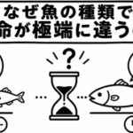 なぜ魚の種類で寿命が極端に違うの？