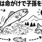 なぜ魚は命がけで子孫を残すの？
