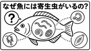 なぜ魚には寄生虫がいるのか？