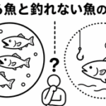 釣れる魚と釣れない魚の境界線