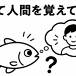 魚って人間を覚えてるの？