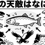 鮭の天敵はなに？