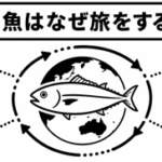 回遊魚はなぜ旅をするの？