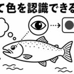 鮭って色を認識できるの？
