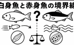 白身魚と赤身魚の境界線