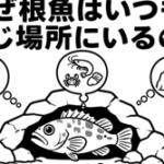 なぜ根魚はいつも同じ場所にいるの？
