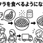 なぜイクラを食べるようになったの？