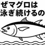 なぜマグロは泳ぎ続けるの？