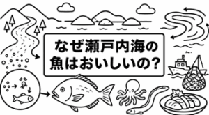 なぜ瀬戸内海の魚はおいしいの？