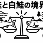 紅鮭と白鮭の境界線