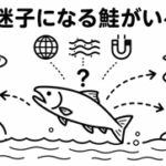 なぜ迷子になる鮭がいるの？