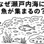 なぜ瀬戸内海に魚が集まるの？
