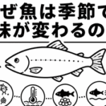 なぜ魚は季節で味が変わるの？